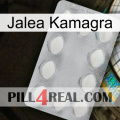 Jelly Kamagra 16